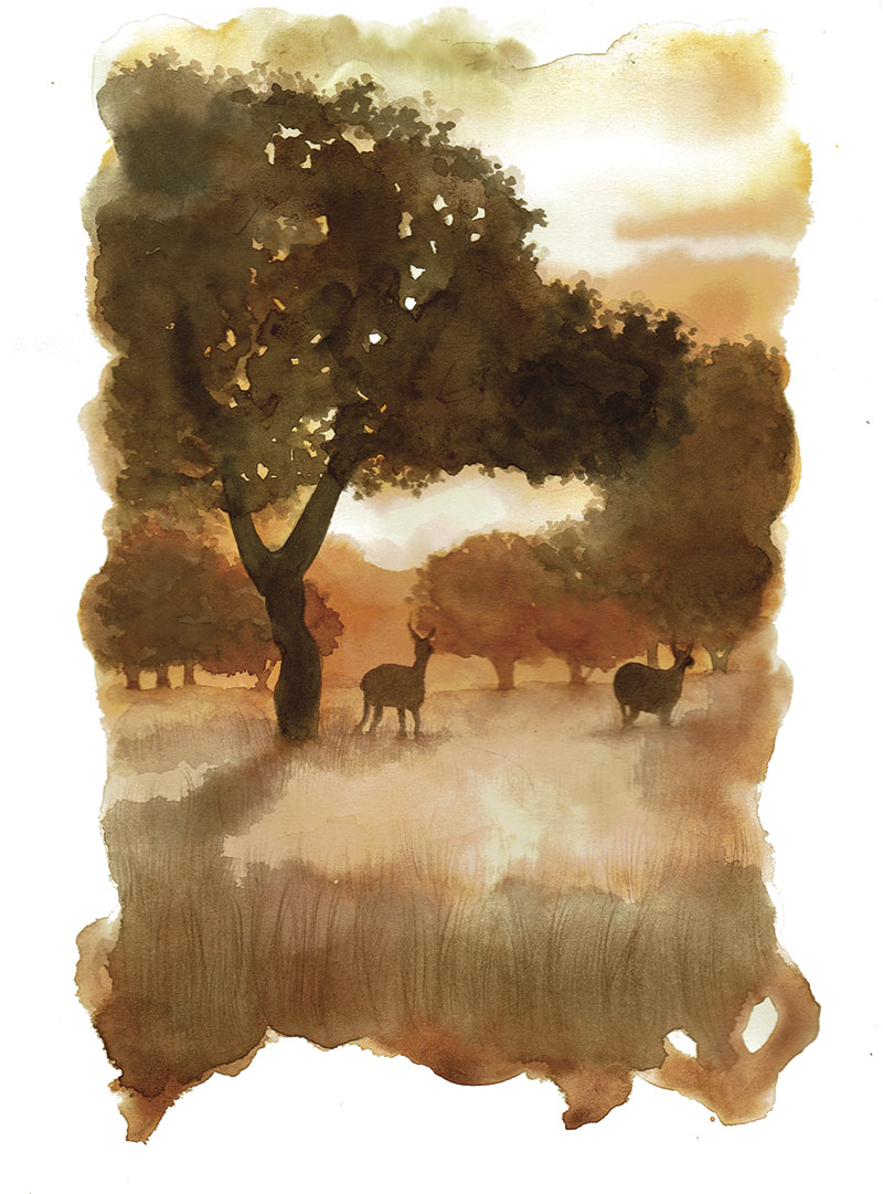 Parque Nacional de Cabañeros