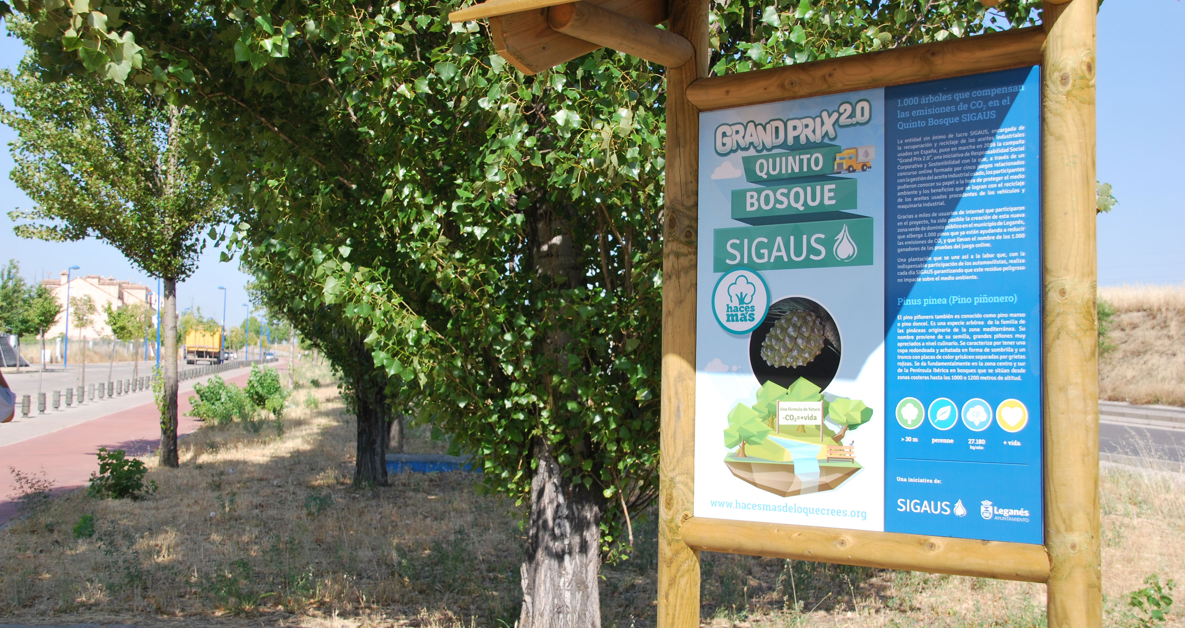 Plantación quinto bosque Sigaus