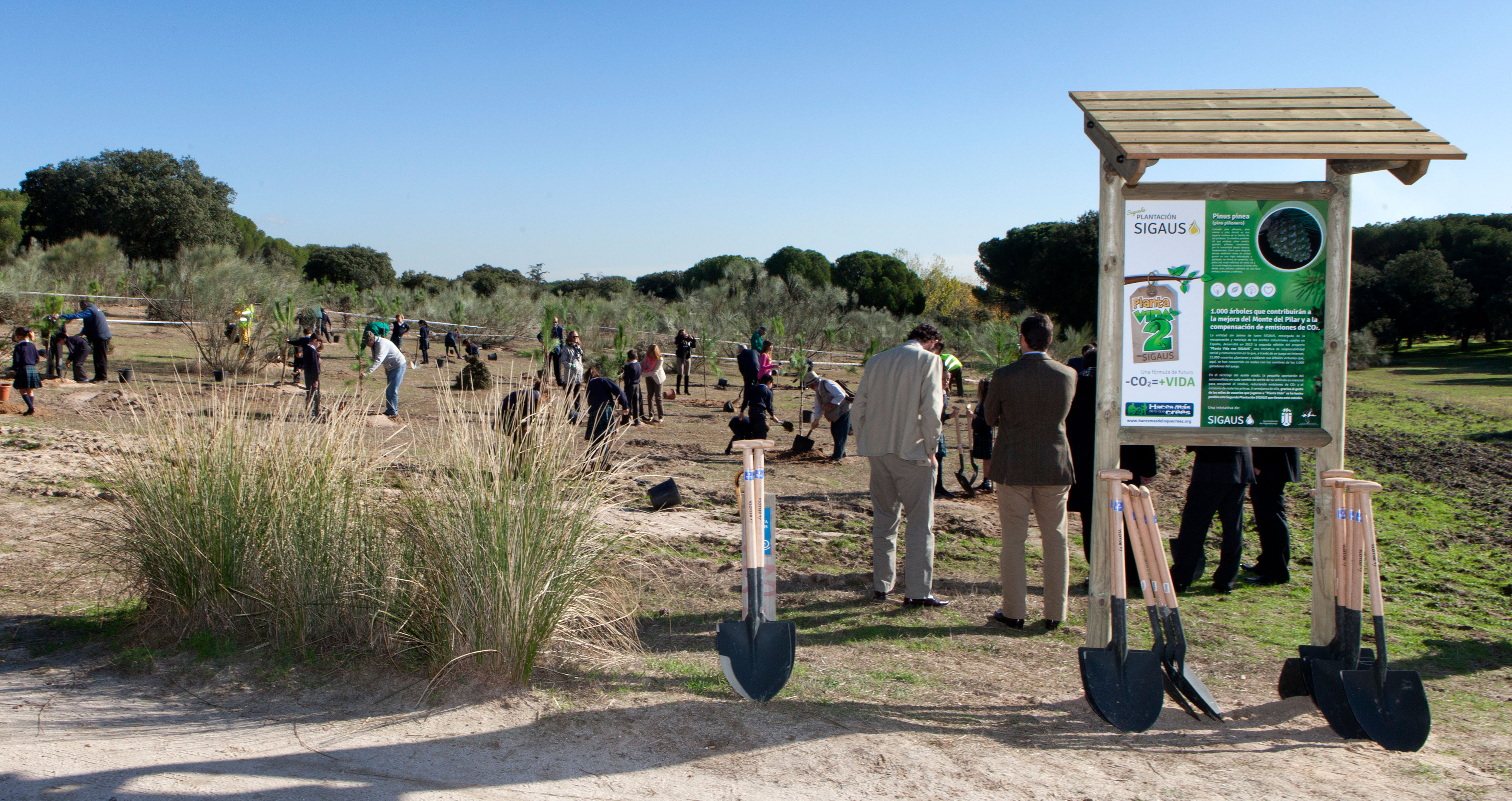Plantación segundo bosque Sigaus