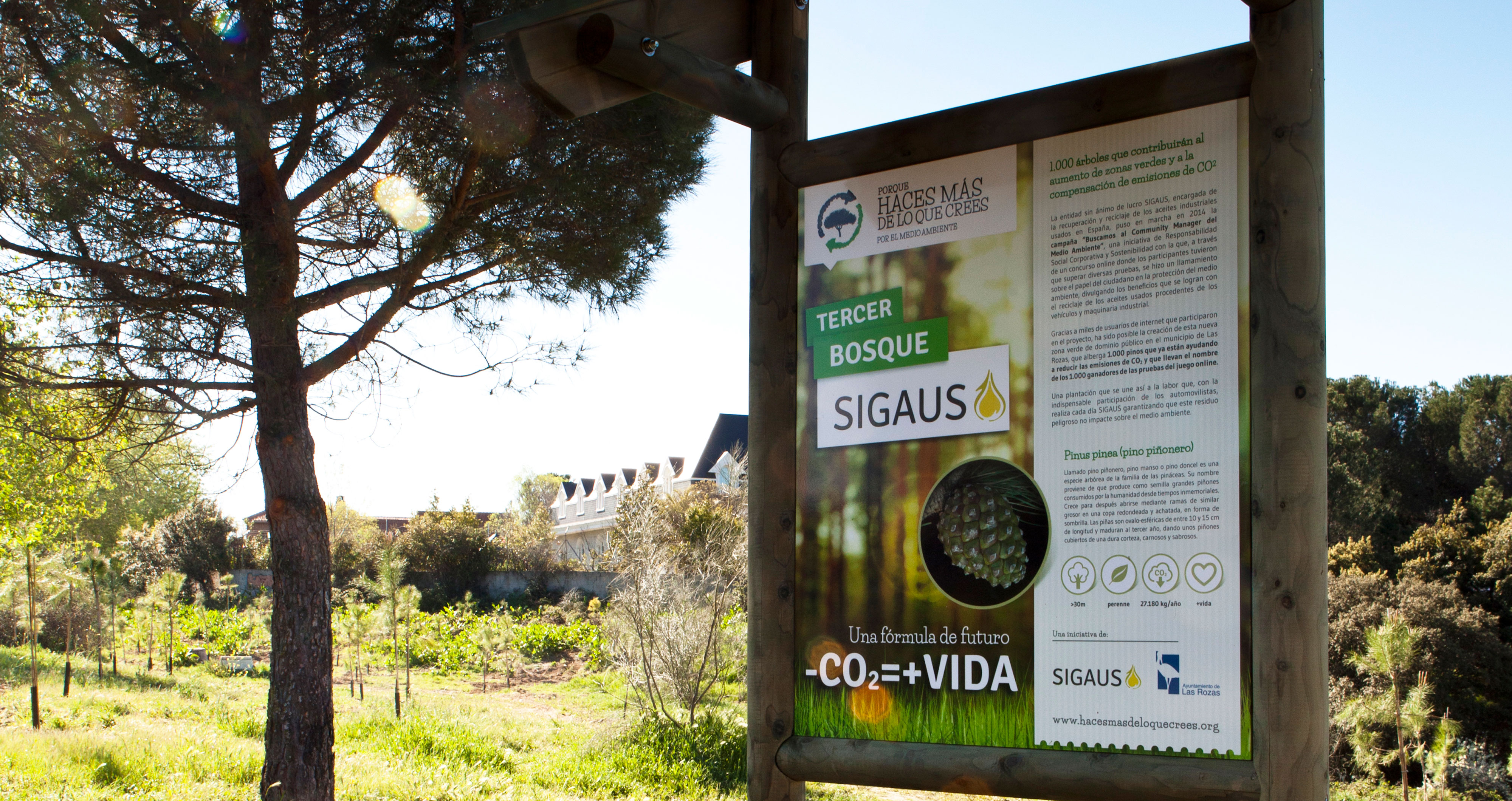 Plantación tercer bosque Sigaus